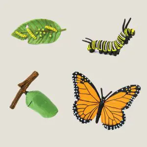 Hetlevenvandevlinder-webshop-JDR