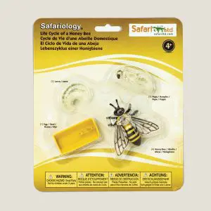 Hetlevenvaneenhoningbij-cover-webshop-JDR