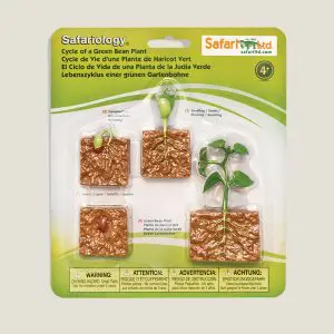 Hetlevenvaneenplant-cover-webshop-JDR