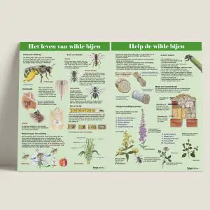 IPHetlevenvanwildebijen-combi-webshop-JDR