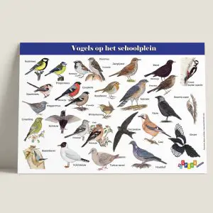 IPVogelsophetschoolplein-landelijk-webshop-JDR