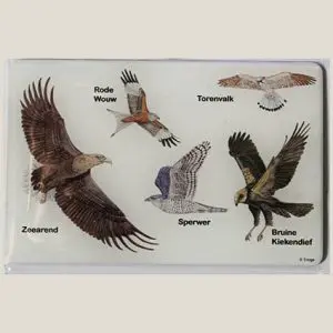 MagneetRoofvogels-webshop-JDR
