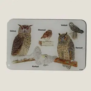 MagneetUilen-webshop-JDR