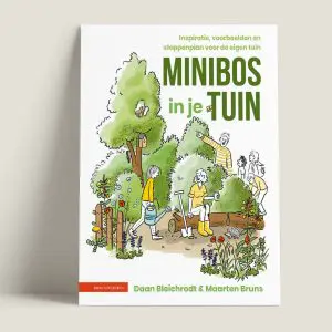 Minibosinjetuin