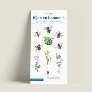 MinigidsBijenenhommels-webshop-JDR