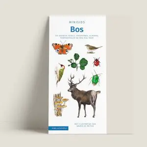 Minigids "Bos" (art.nr. 310010)