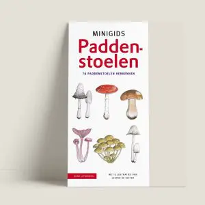 MinigidsPaddenstoelen-webshop-JDR