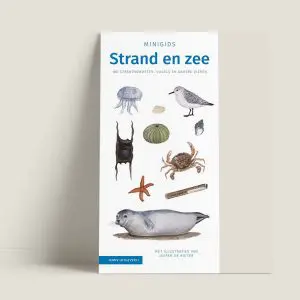 Minigids "Strand en Zee" (art.nr. 310012)