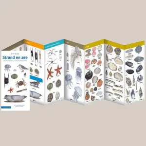 MinigidsStrandenzee1-webshop-JDR