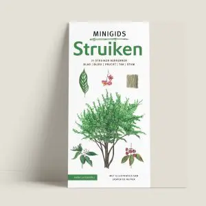 MinigidsStruiken-webshop-JDR