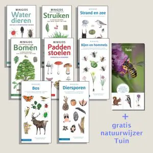 Set Minigidsen (art.nr. 310021)