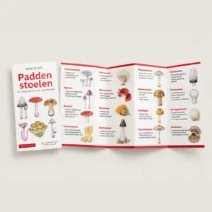 Nederlandse minigids voor paddenstoelen (1)