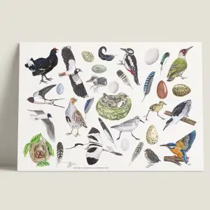 PMVogels-webshop-JDR
