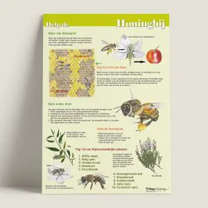 PosterHelpdehoningbij-webshop-JDR