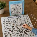 Puzzel vogels van Nederland
