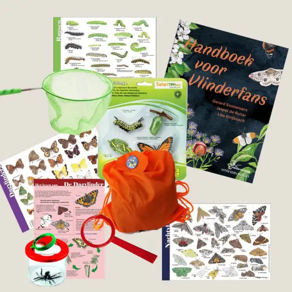 Speurzoekerspakket Vlinders, rupsen, handboek