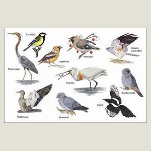 Tabletdoekje "Vogels" (art.nr. 320002)