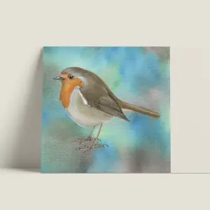 WenskaartVierkant-roodborst-webshop-JDR