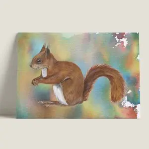 Wenskaarteekhoorn-webshop-JDR