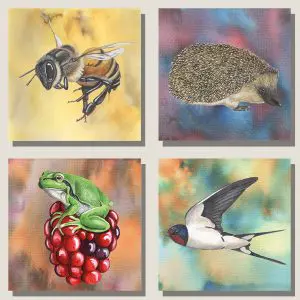 Wenskaartenset2-vierkant-webshop-JDR