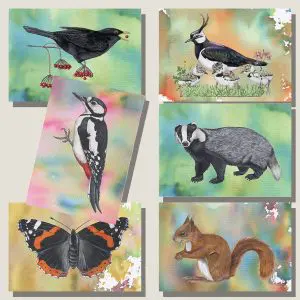 Wenskaartenset3-webshop-JDR