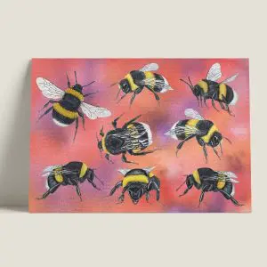 Wenskaartgewoneaardhommels-webshop-JDR