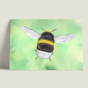 Wenskaartgewoneaarhommel-vlucht-webshop-JDR_0a2fb88f-8487-4e83-8557-656c0b1b590c