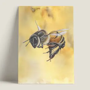 Wenskaarthoningbij-koningin-vlucht-webshop-JDR