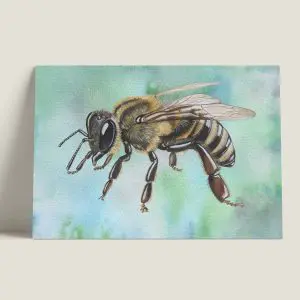 Wenskaarthoningbij-staand-webshop-JDR