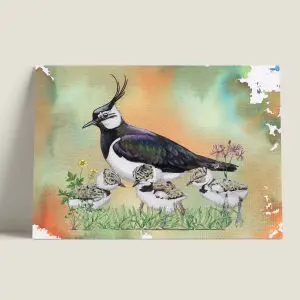 Wenskaartkievit-webshop-JDR