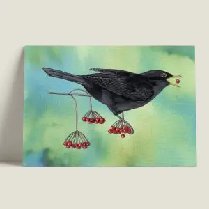 Wenskaartmerel-webshop-JDR