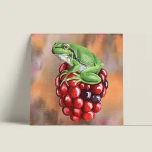 Wenskaartvierkant-boomkikker-webshop-JDR