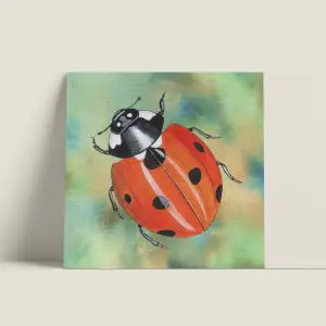 Wenskaartvierkant-lieveheersbeestje-webshop-JDR