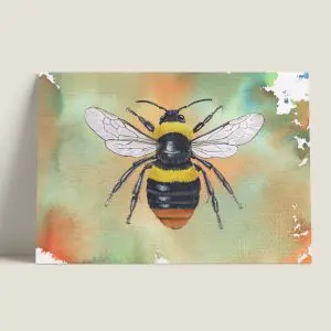 Wenskaartweidehommel-webshop-JDR