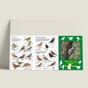 ZKWiebenik-bosvogels-buitenkant-webshop-JDR