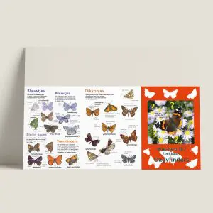 ZKWiebenik-dagvlinders-buitenkant-webshop-JDR
