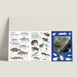 ZKWiebenik-waterdiertjes-buitenkant-webshop-JDR