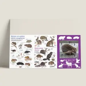 ZKWiebenik-zoogdieren-buitenkant-webshop-JDR