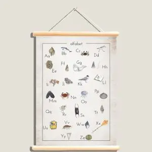 posteralfabet-zeedieren-webshop-JDR