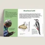 Informatiepaneel Dood hout leeft