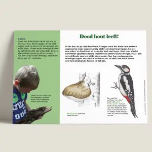 Informatiepaneel Dood hout leeft