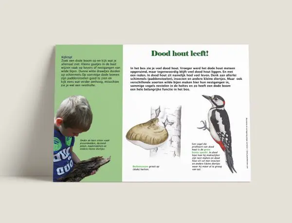 Informatiepaneel Dood hout leeft