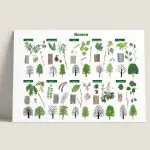Informatiepaneel Bomen