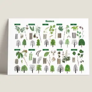 Informatiepaneel Bomen
