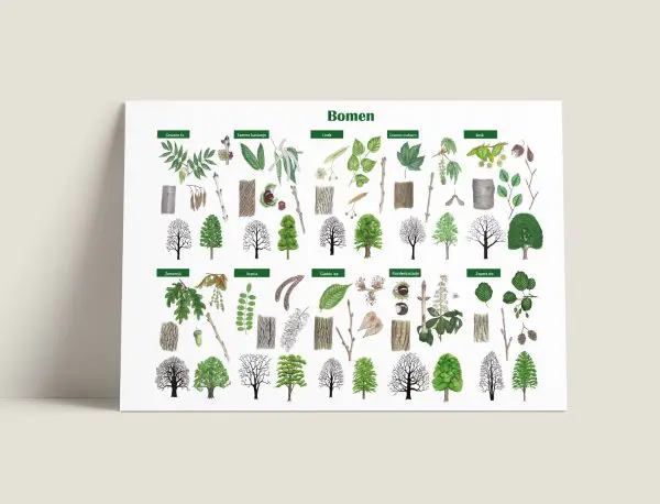 Informatiepaneel Bomen