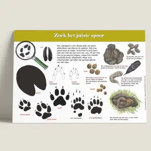 Informatiepaneel Zoek het juiste spoor