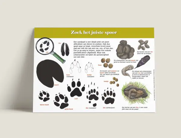 Informatiepaneel Zoek het juiste spoor