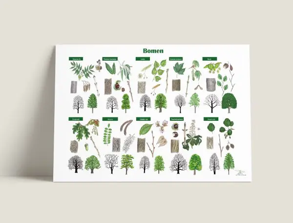Bomenposter
