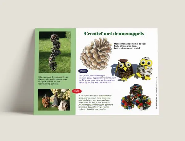 Creatief met dennenappels