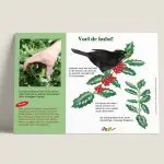 Voel de hulst